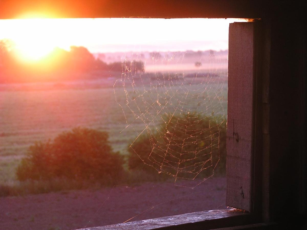 Rural Tourism Family Ravlic Konuk evi Muzilovcica Dış mekan fotoğraf