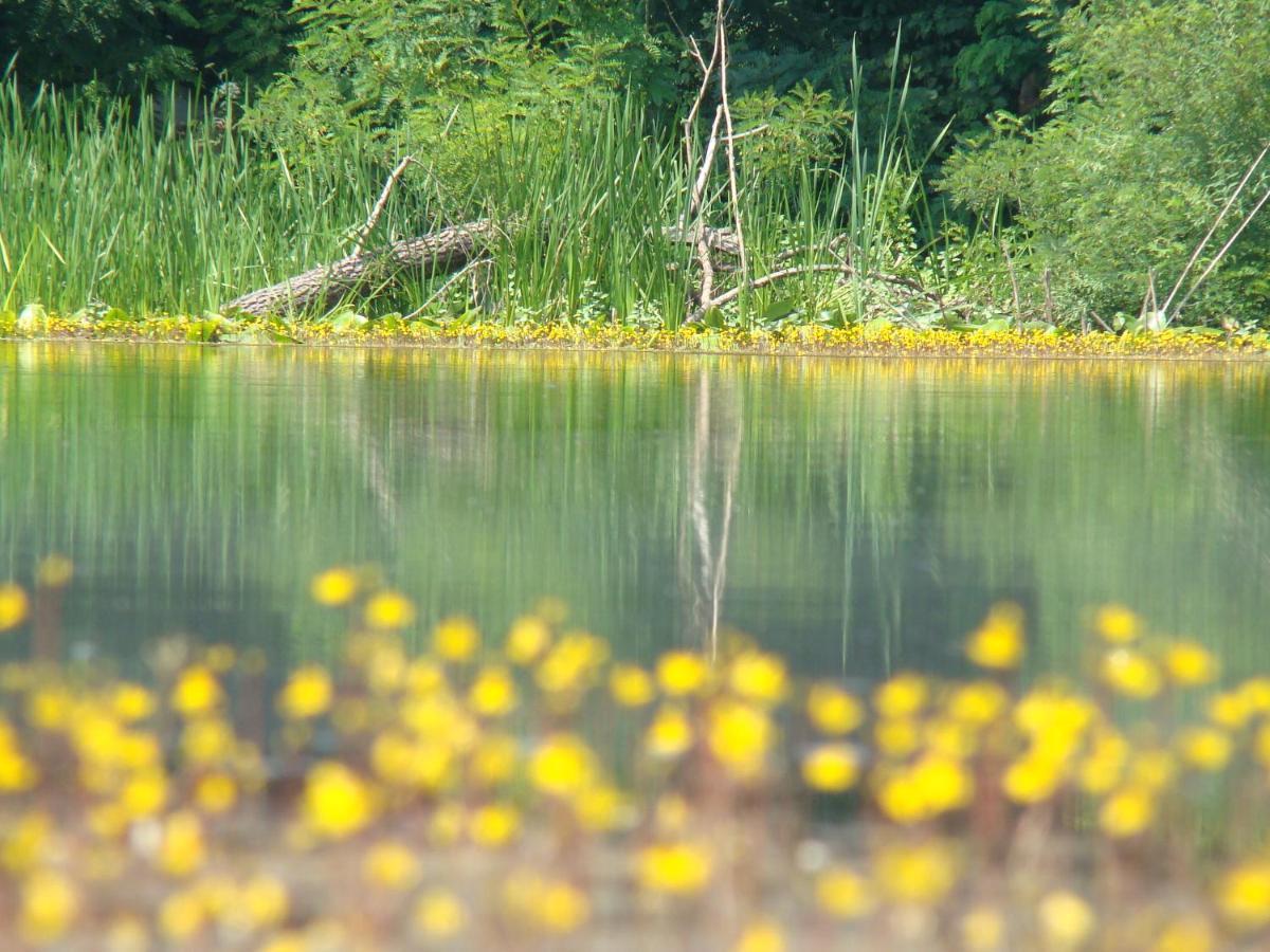 Rural Tourism Family Ravlic Konuk evi Muzilovcica Dış mekan fotoğraf