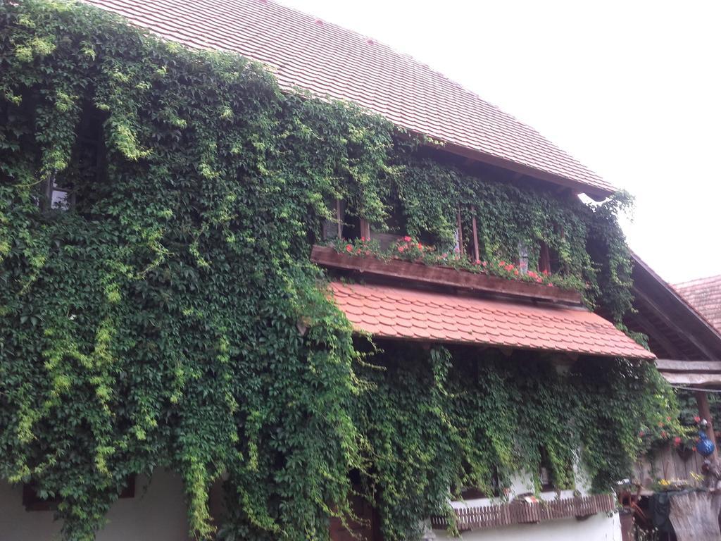 Rural Tourism Family Ravlic Konuk evi Muzilovcica Dış mekan fotoğraf