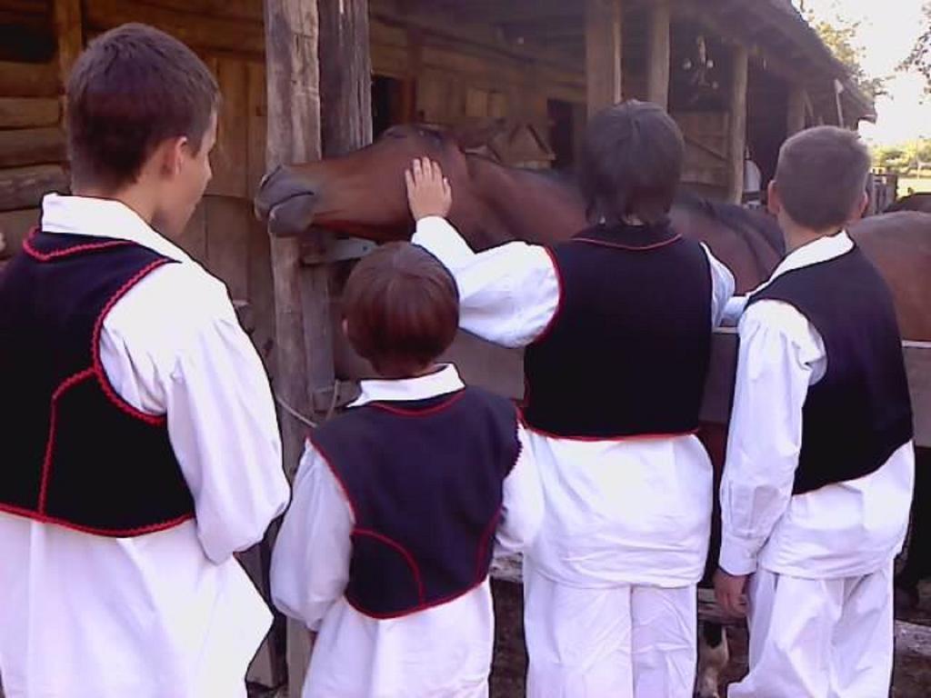 Rural Tourism Family Ravlic Konuk evi Muzilovcica Dış mekan fotoğraf