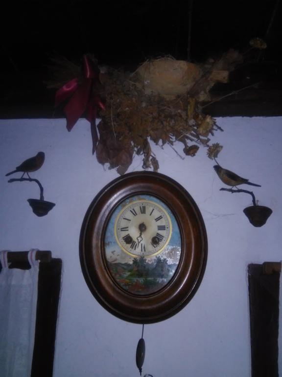 Rural Tourism Family Ravlic Konuk evi Muzilovcica Dış mekan fotoğraf