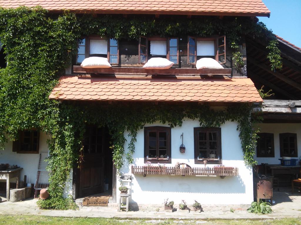 Rural Tourism Family Ravlic Konuk evi Muzilovcica Dış mekan fotoğraf